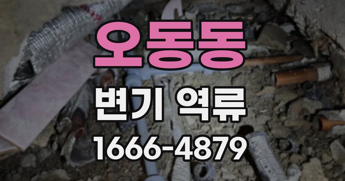 오동동 변기 역류