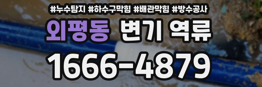 외평동 변기 역류