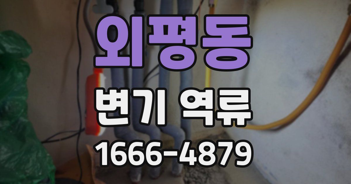 외평동 변기 역류