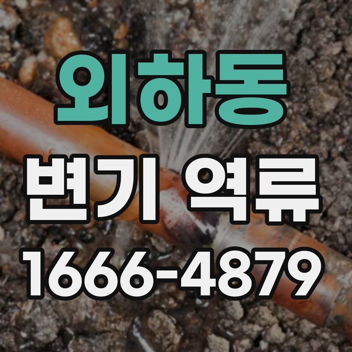 외하동 변기 역류 증상별 대처 방법