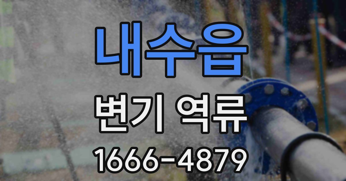 내수읍 변기 역류