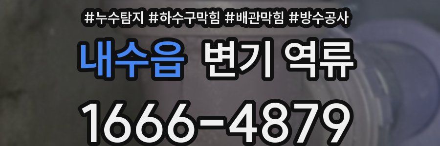 내수읍 변기 역류