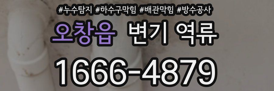 오창읍 변기 역류