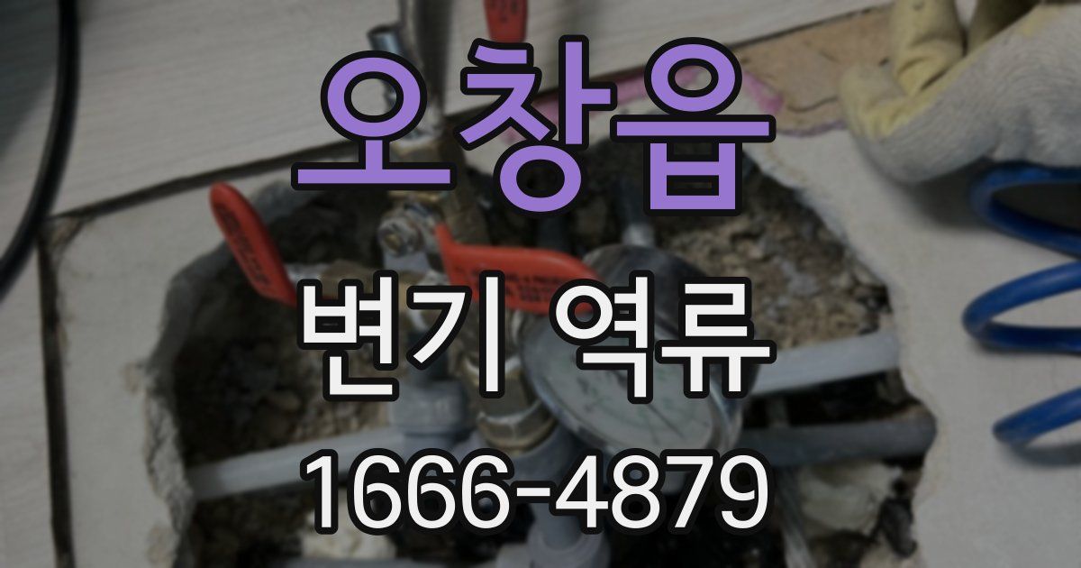 오창읍 변기 역류