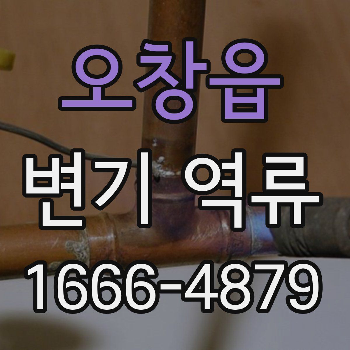 오창읍 변기 역류