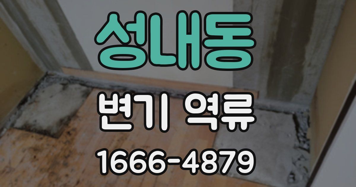 성내동 변기 역류