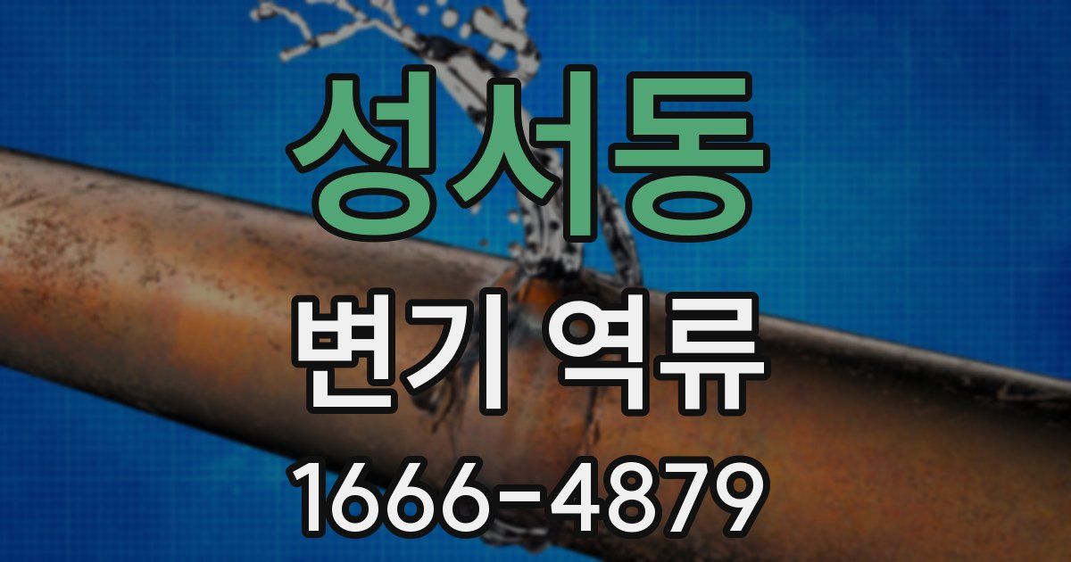 성서동 변기 역류