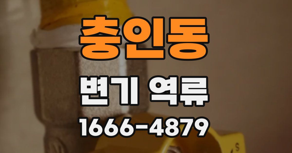 충인동 변기 역류