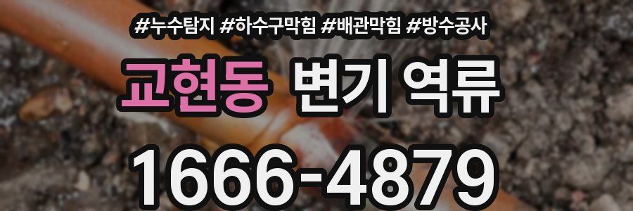 교현동 변기 역류