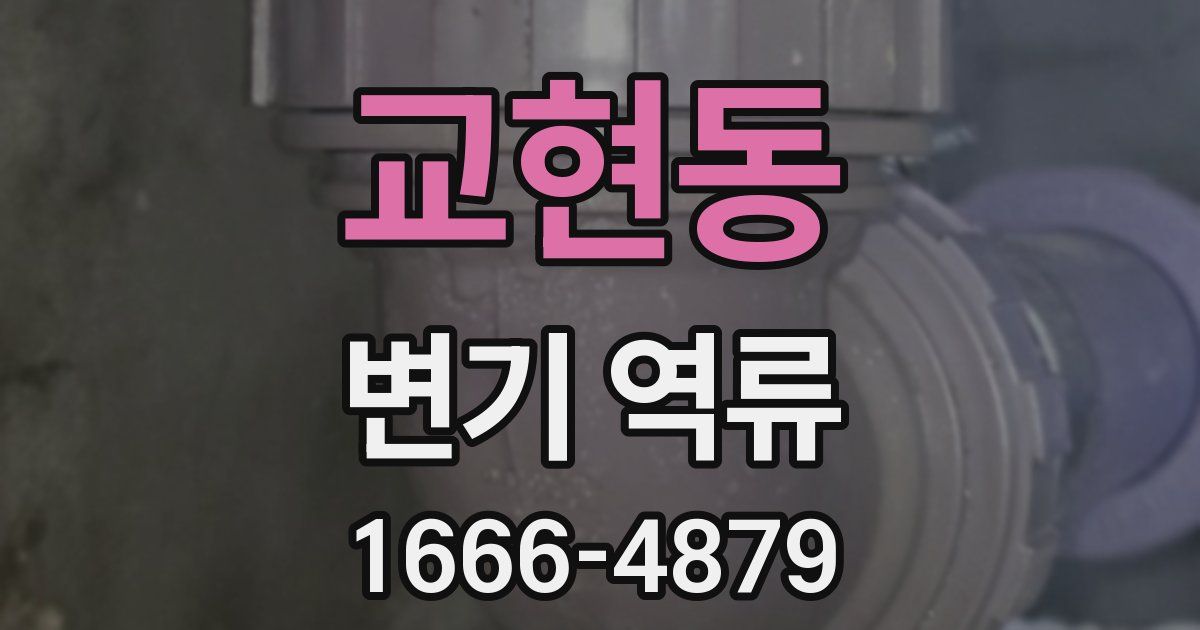 교현동 변기 역류