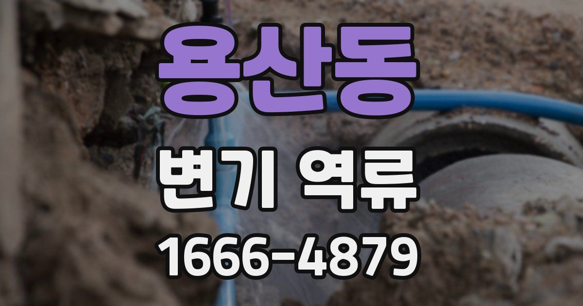 용산동 변기 역류