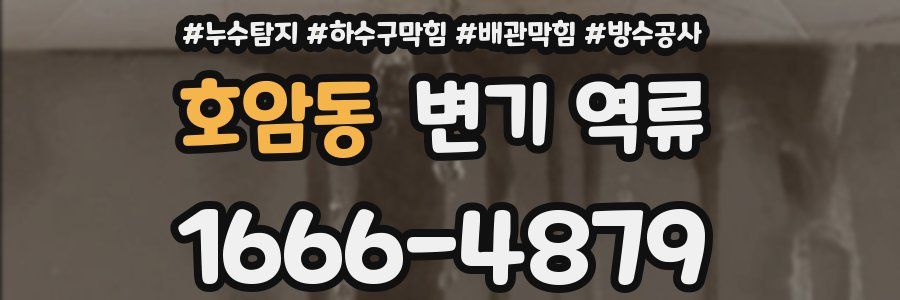 호암동 변기 역류