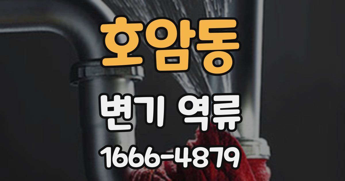 호암동 변기 역류
