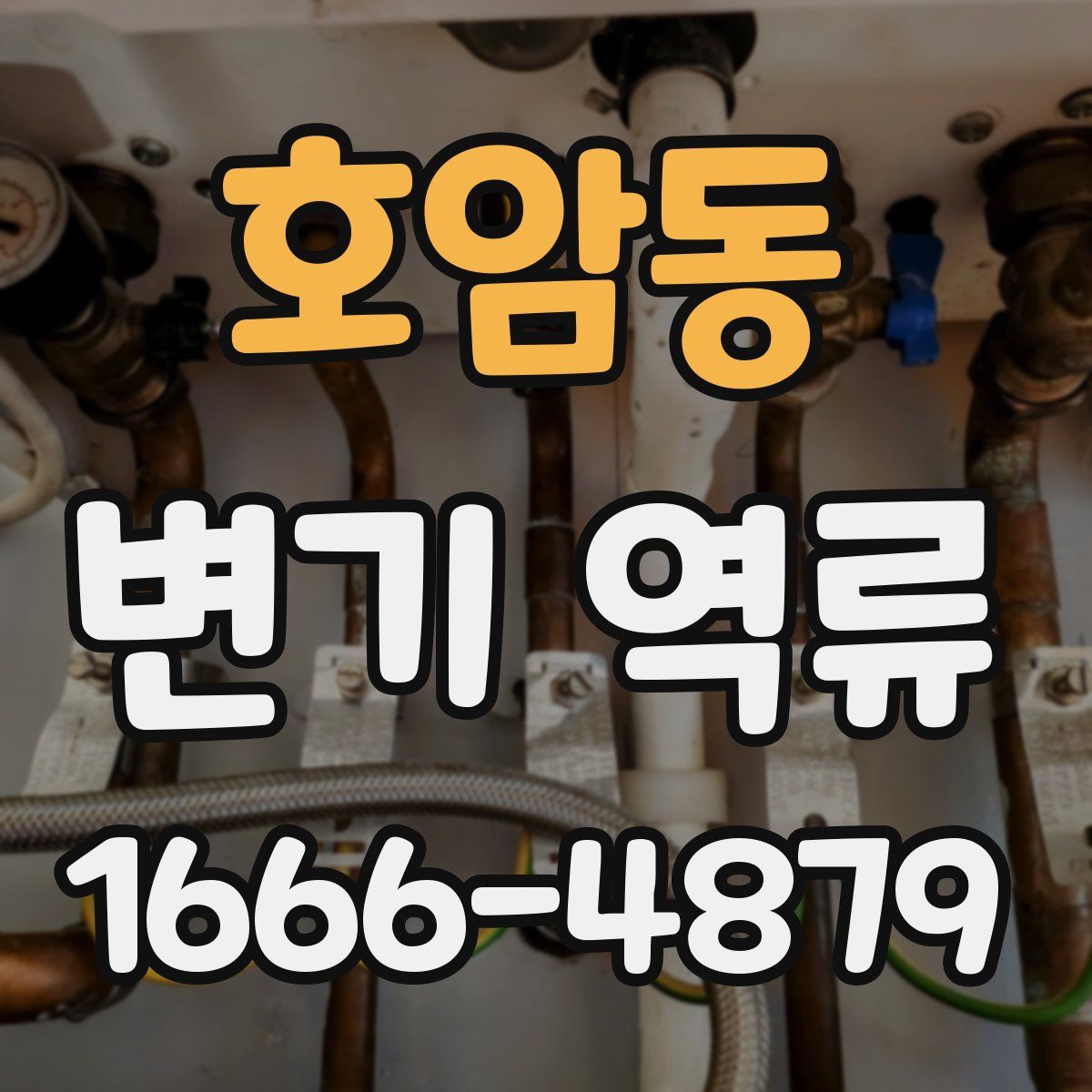 호암동 변기 역류