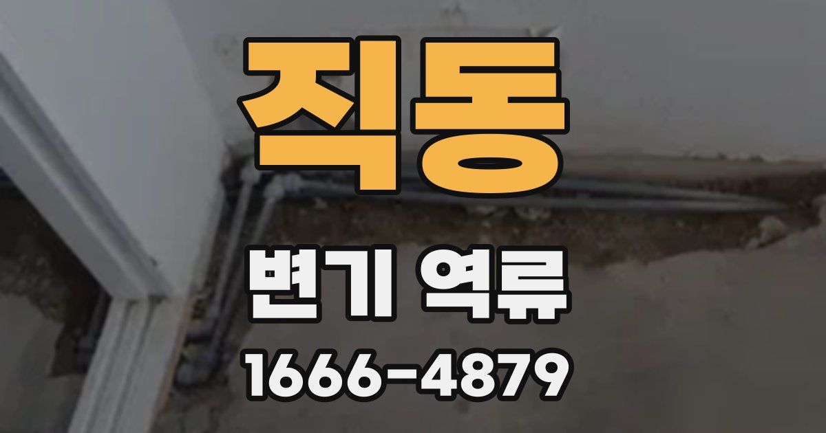 직동 변기 역류
