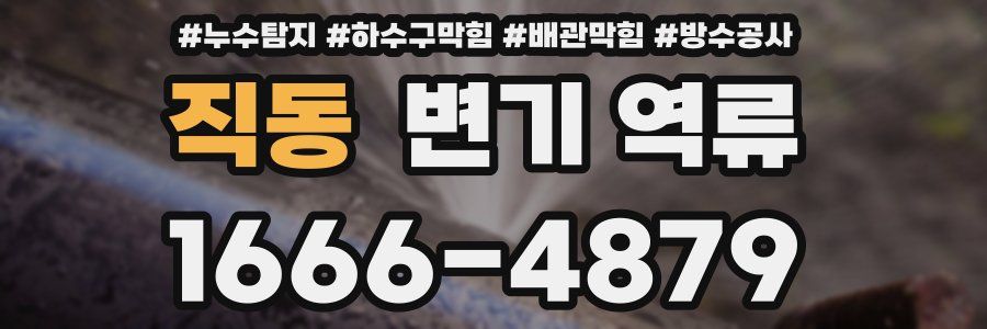 직동 변기 역류