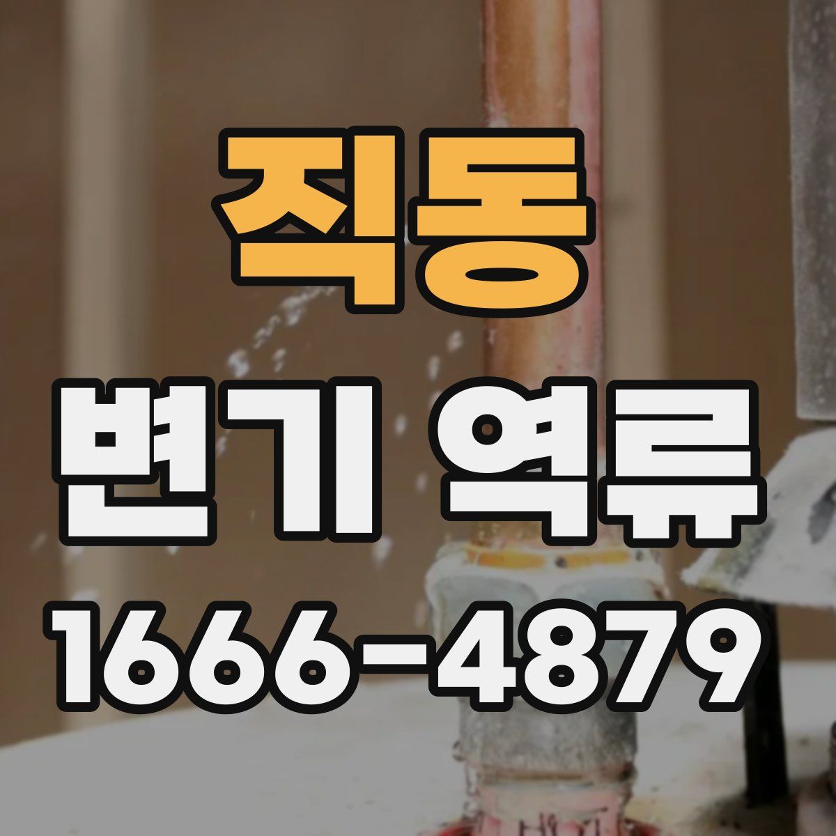 직동 변기 역류