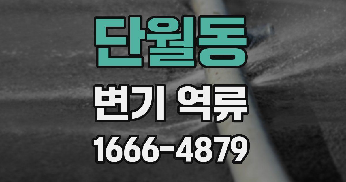 단월동 변기 역류