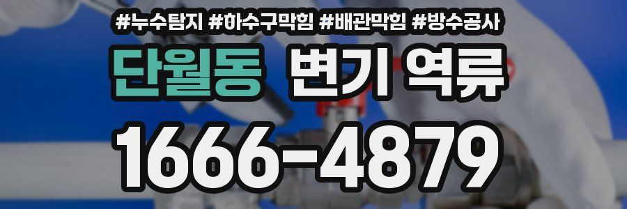 단월동 변기 역류