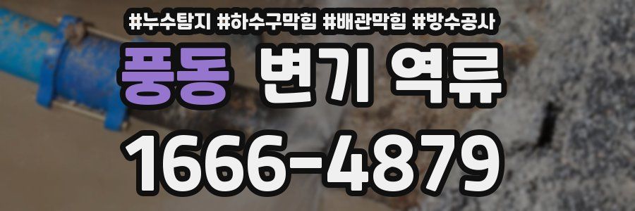 풍동 변기 역류