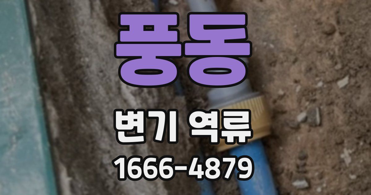 풍동 변기 역류