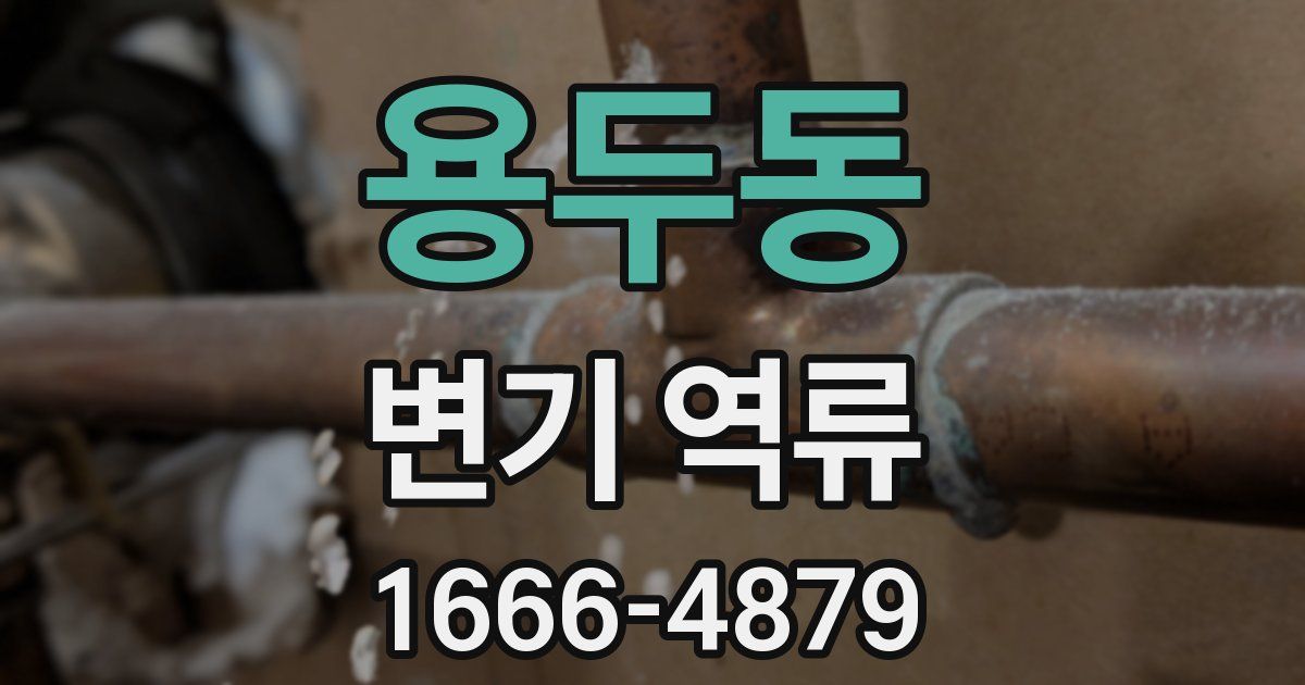 용두동 변기 역류