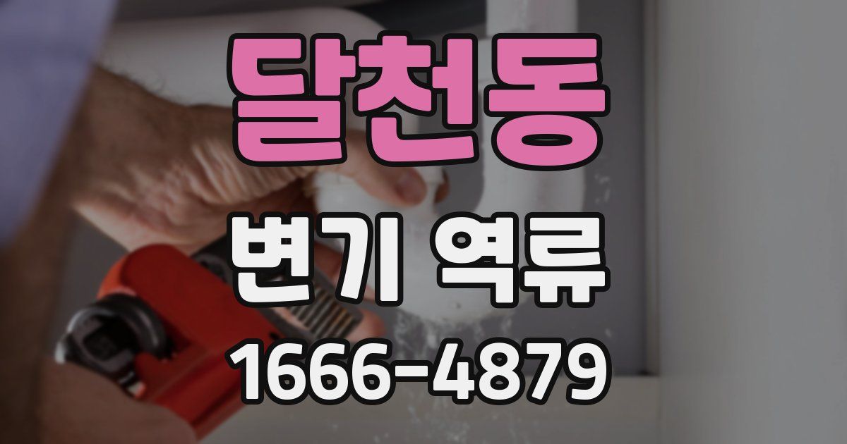 달천동 변기 역류