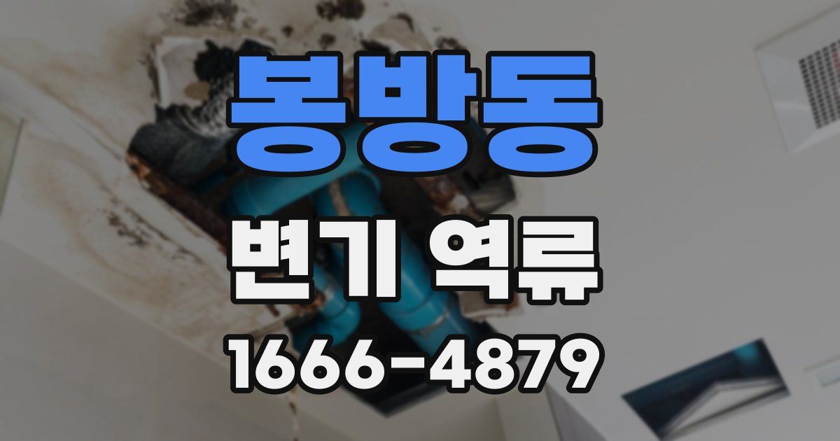 봉방동 변기 역류