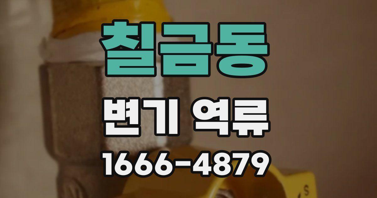칠금동 변기 역류