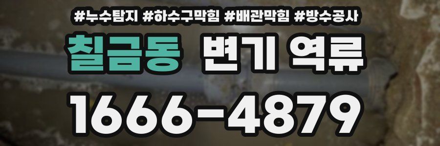 칠금동 변기 역류