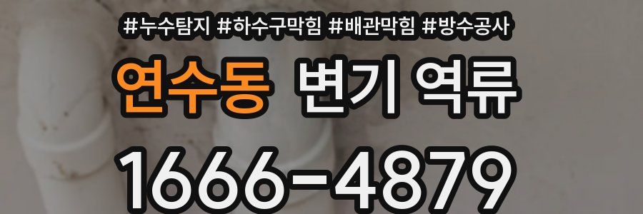 연수동 변기 역류