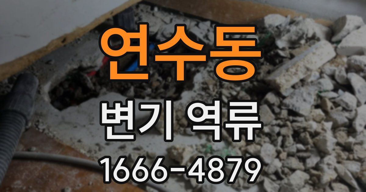 연수동 변기 역류