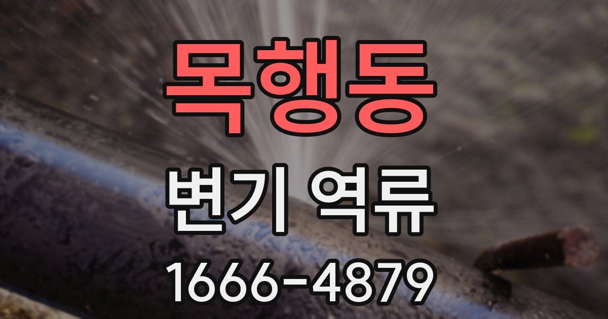 목행동 변기 역류