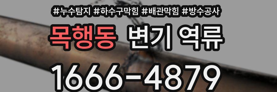 목행동 변기 역류