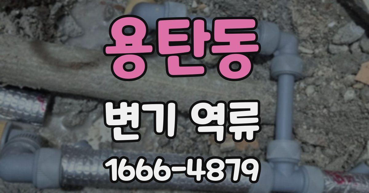 용탄동 변기 역류