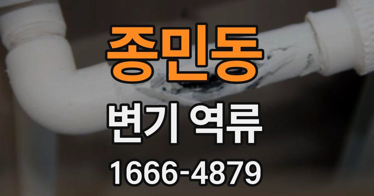 종민동 변기 역류
