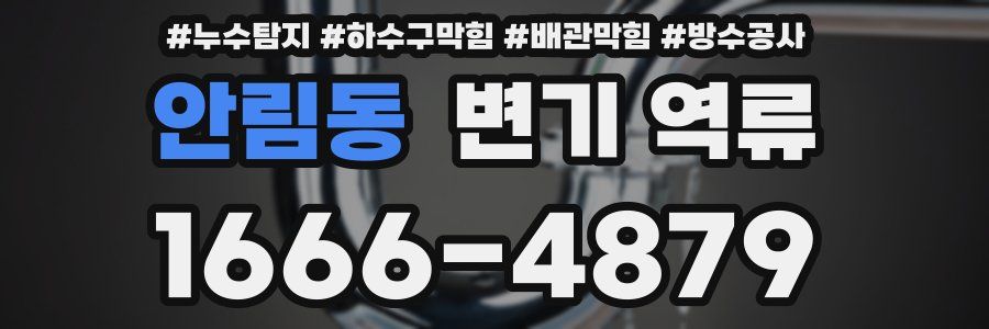 안림동 변기 역류