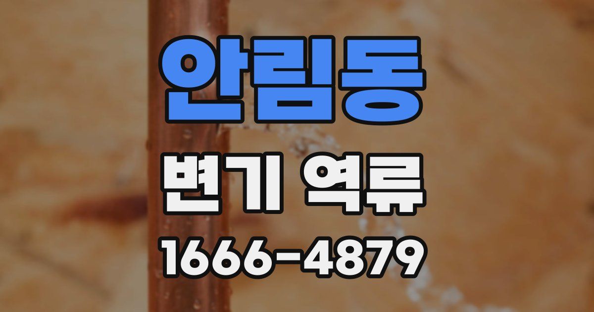 안림동 변기 역류
