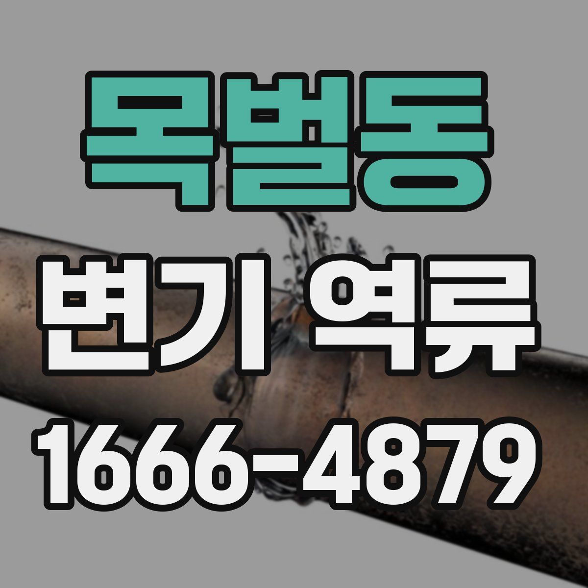 목벌동 변기 역류