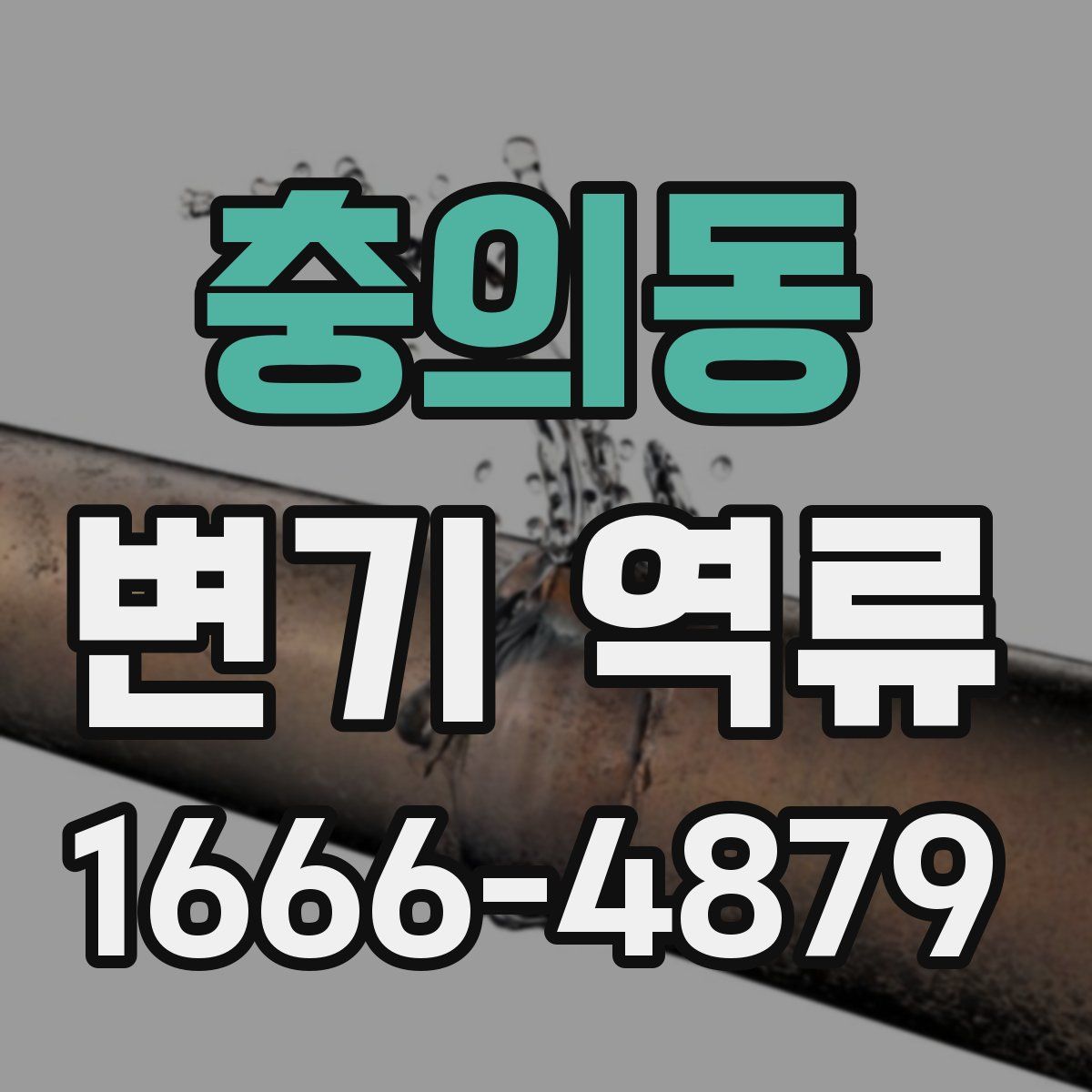 충의동 변기 역류