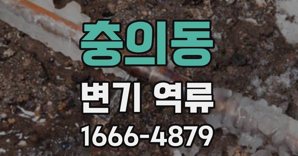 충의동 변기 역류