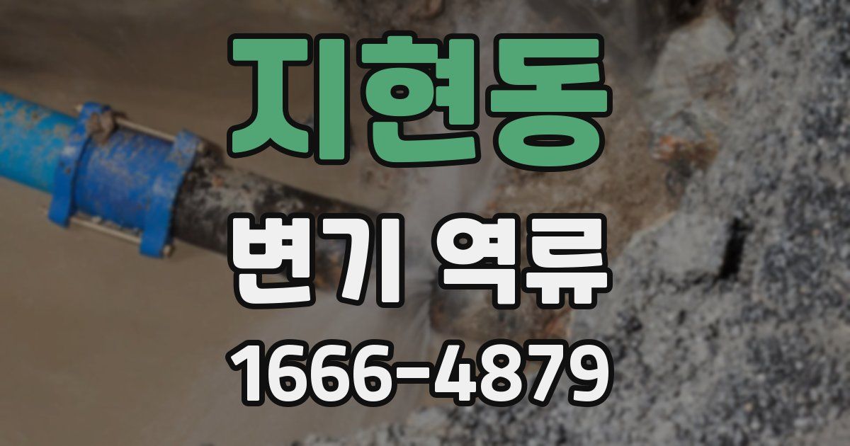 지현동 변기 역류