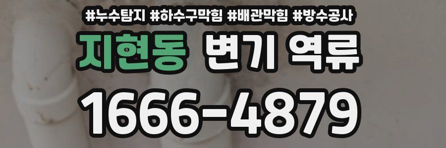 지현동 변기 역류