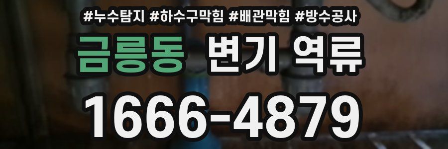 금릉동 변기 역류