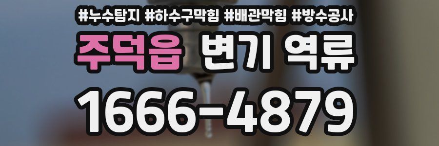 주덕읍 변기 역류