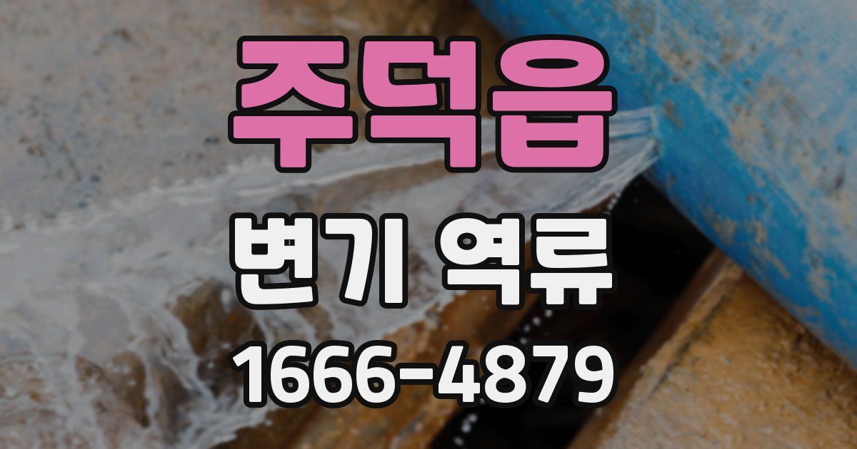 주덕읍 변기 역류