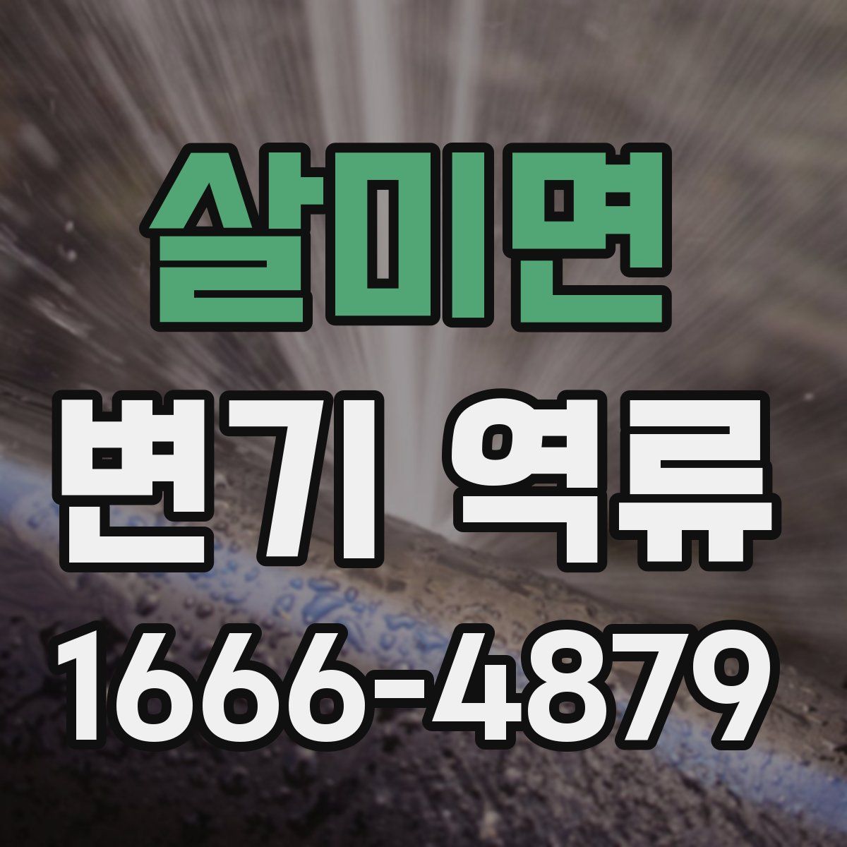 살미면 변기 역류