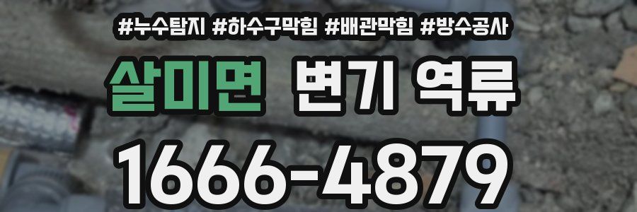 살미면 변기 역류