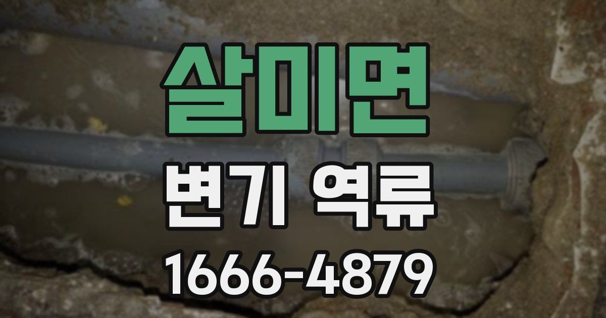 살미면 변기 역류