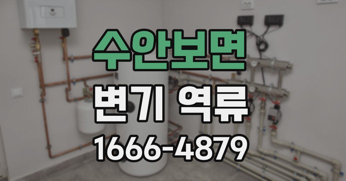 수안보면 변기 역류